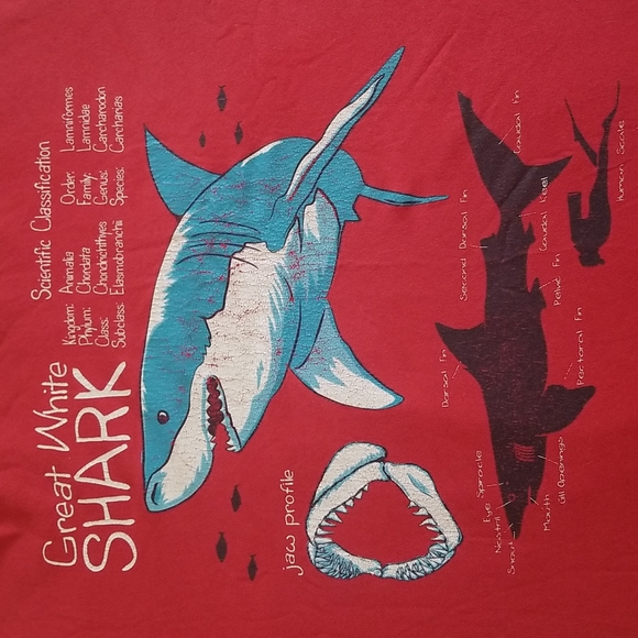 Red Great White Shark T-Shirt - Picture 2 of 2